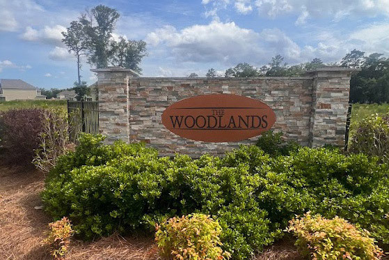 The Woodlands