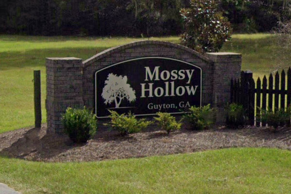 Mossy Hollow